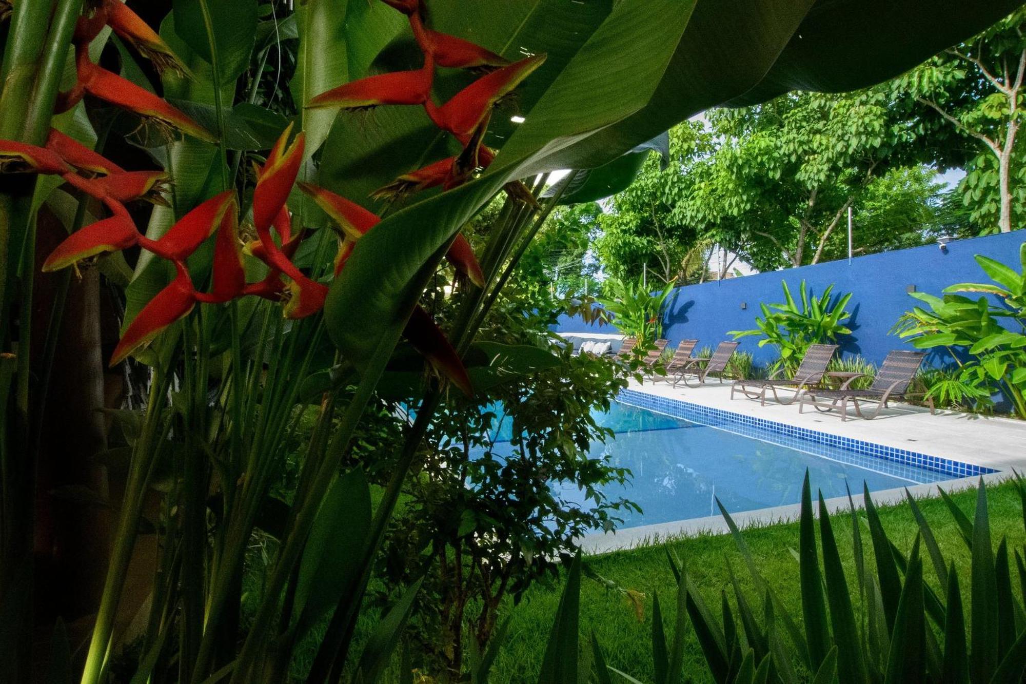 Hotel Casa Brisa - Wifi, Piscina E Cafe Da Manha A 520m Do Centro De Arraial Porto Seguro